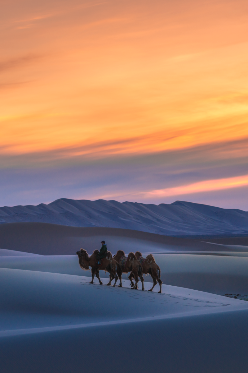 Mongolia Nomadic Naadam Expedition